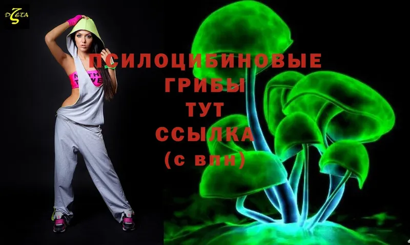 Псилоцибиновые грибы Psilocybine cubensis  где купить наркоту  дарк нет формула  Тюмень 